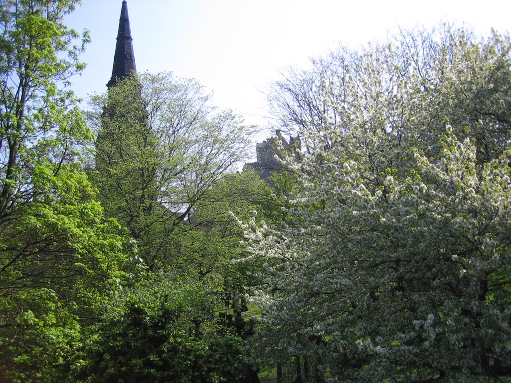 i/Family/Edinburgh/Picture 018 (Small).jpg_1024.jpg